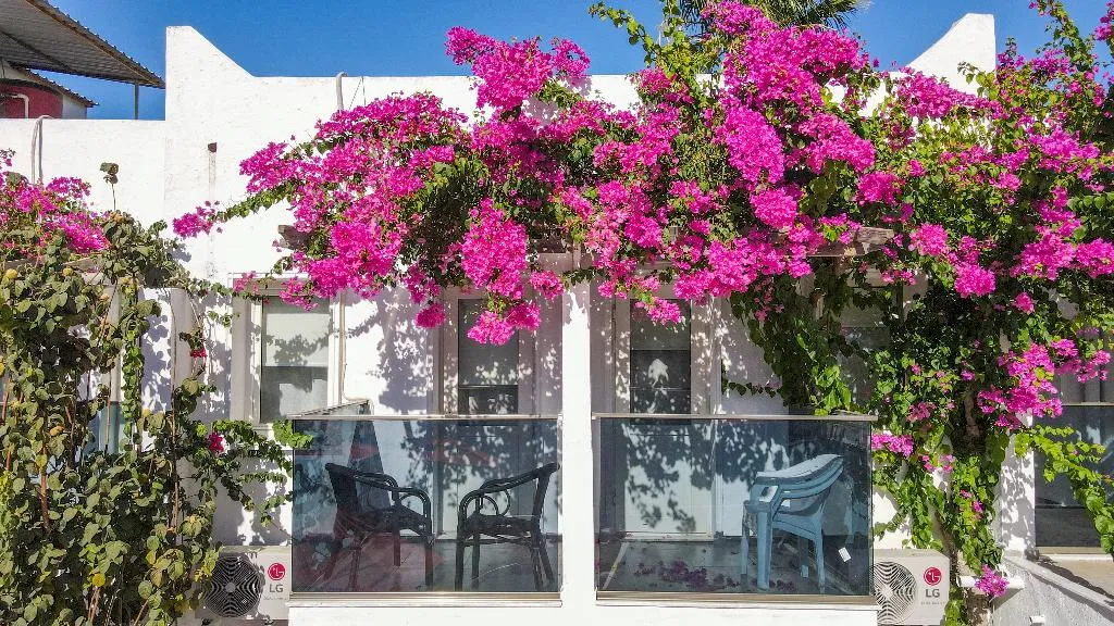 Terrace, The Hello Hotel, Bodrum