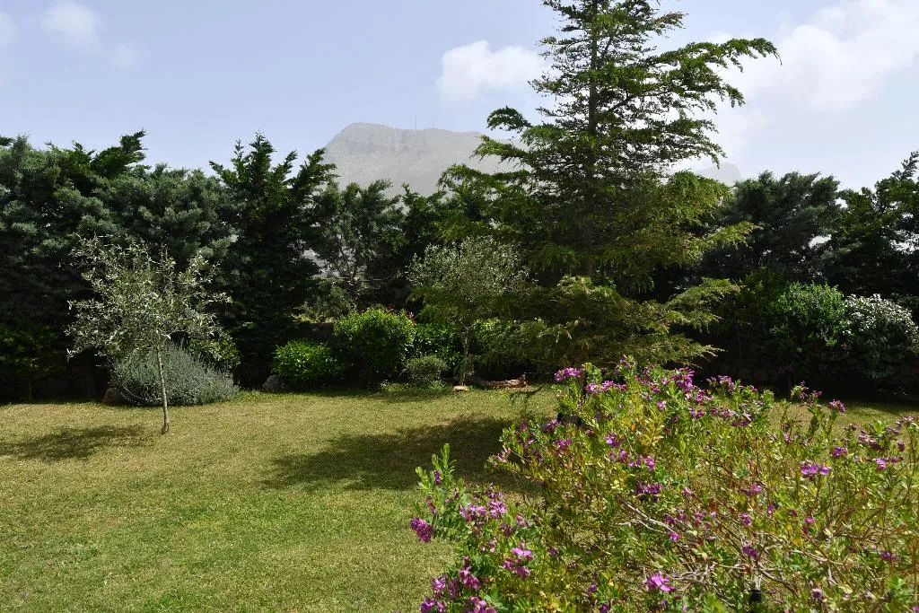 General view, Achelatis Guest Houses, Athens