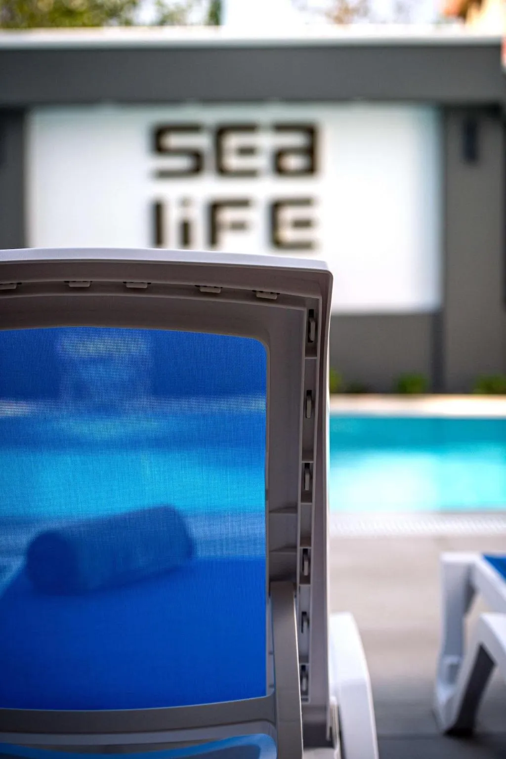 Sports and Entertainment, Sealife Lounge Hotel +18 Adult Only, Antalya
