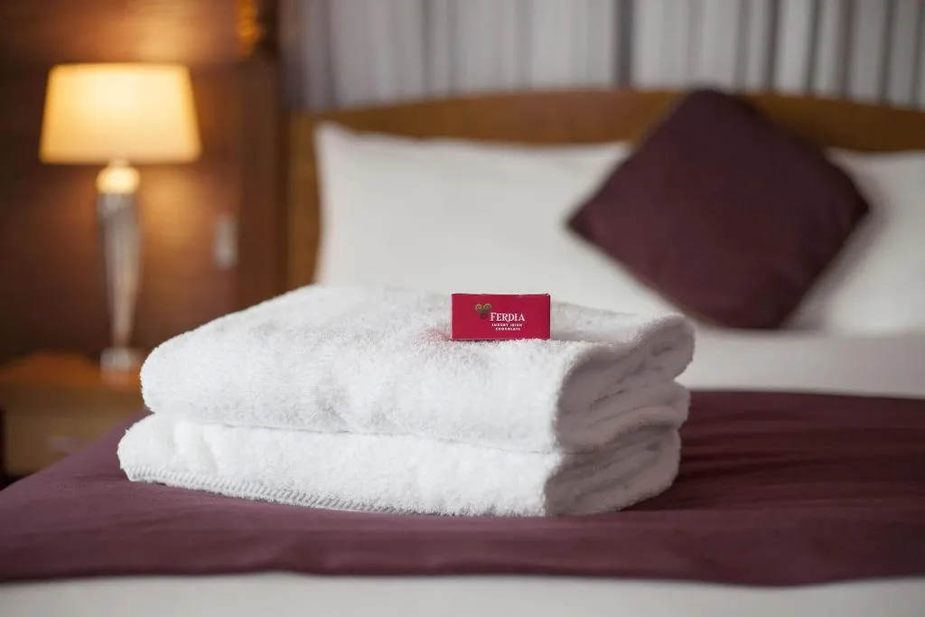 DOUBLE STANDARD Room, Louis Fitzgerald Hotel, Dublin