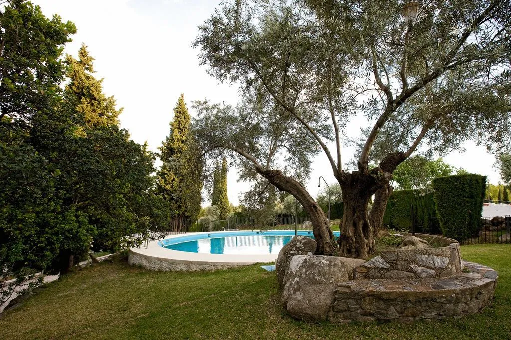 Pool, La Perdiz, Andalucia