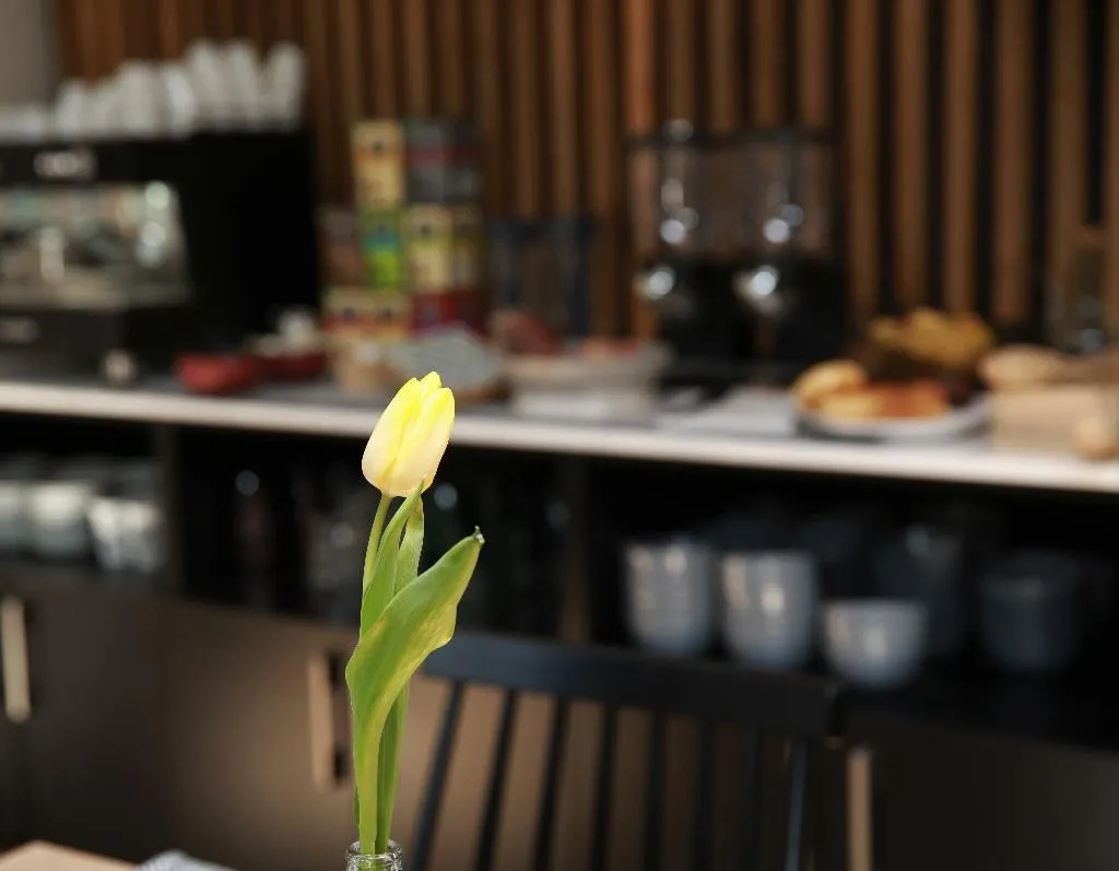 Restaurant, Cims de Camprodon, Barcelona
