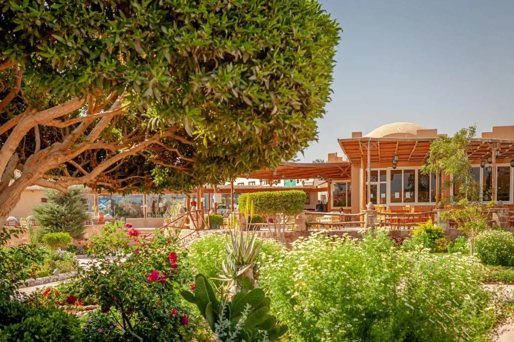 General view, Silver Beach Boutique Hotel, Red Sea Riviera