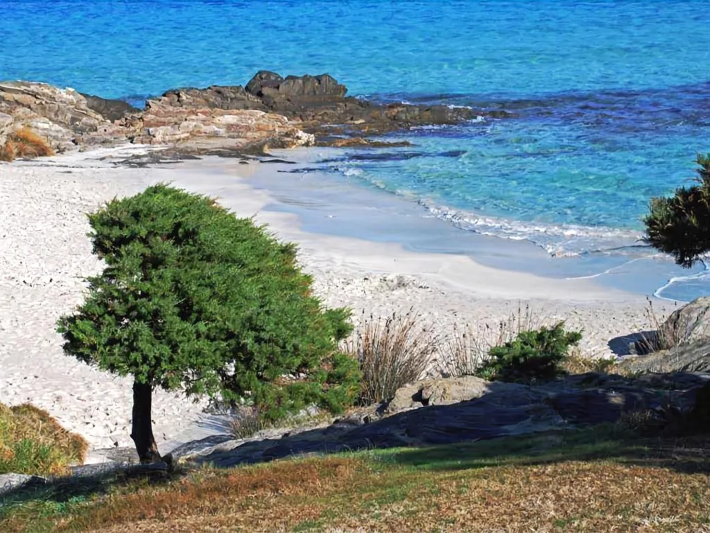 Beach, Stintino Country Paradise, Alghero