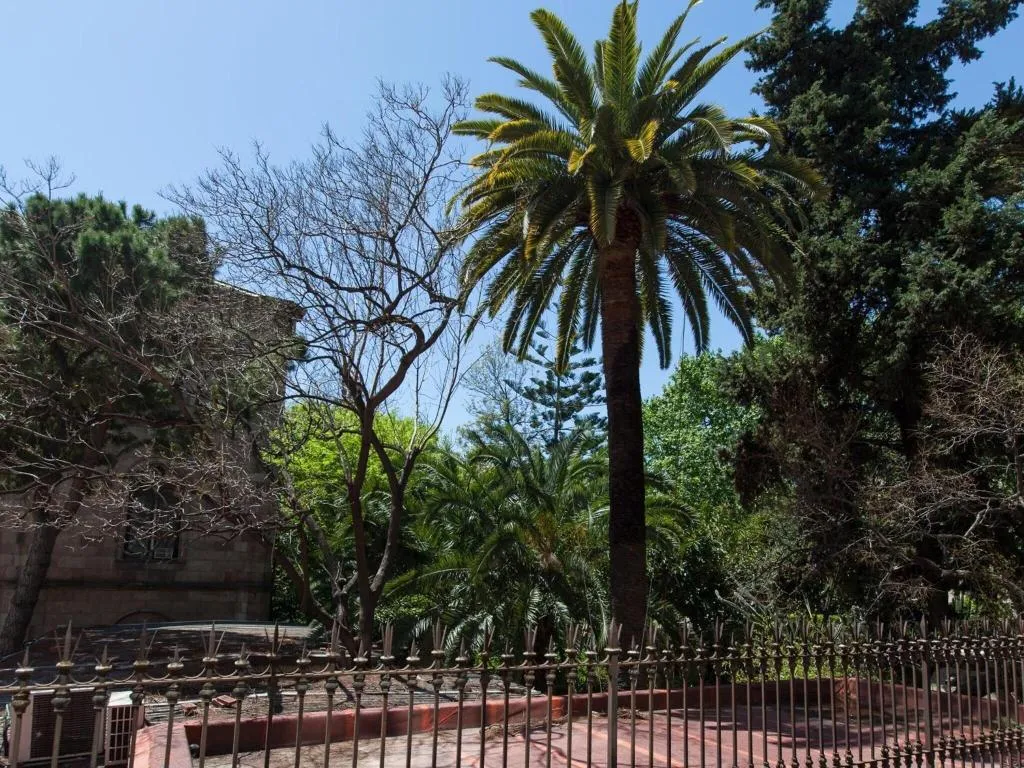 General view, Hostal Ecozentric, Barcelona