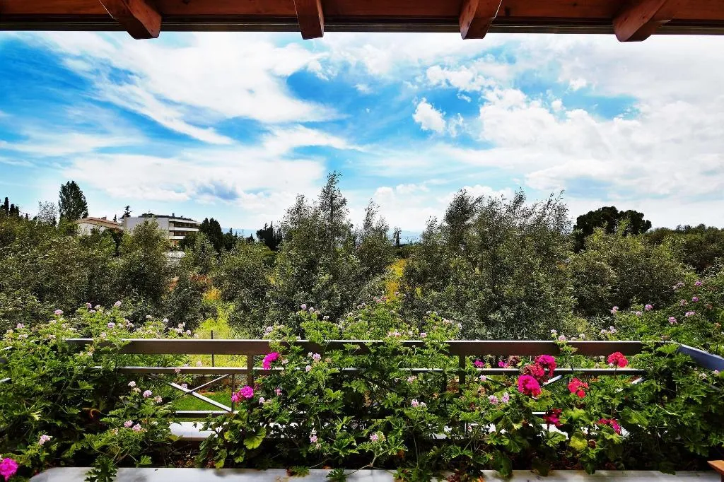 Room, Miramare Hotel Eretria, Athens