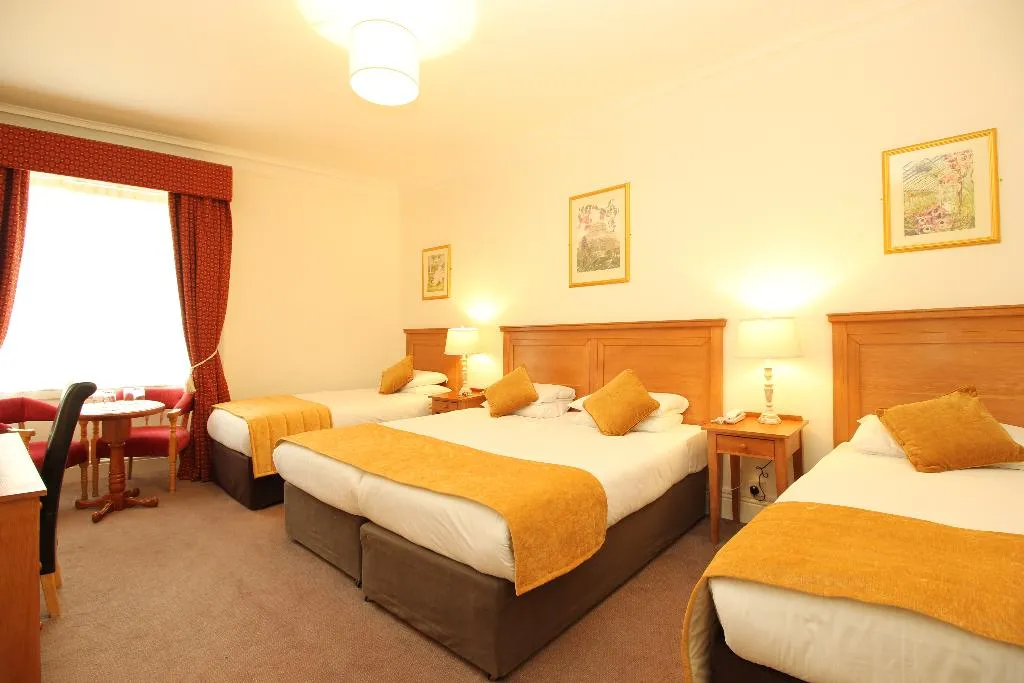 General view, Castle Hotel, Dublin