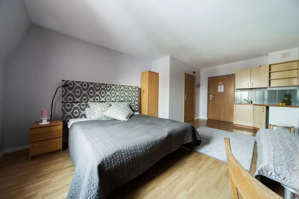 STUDIO DELUXE Room, Apartwawel, Krakow