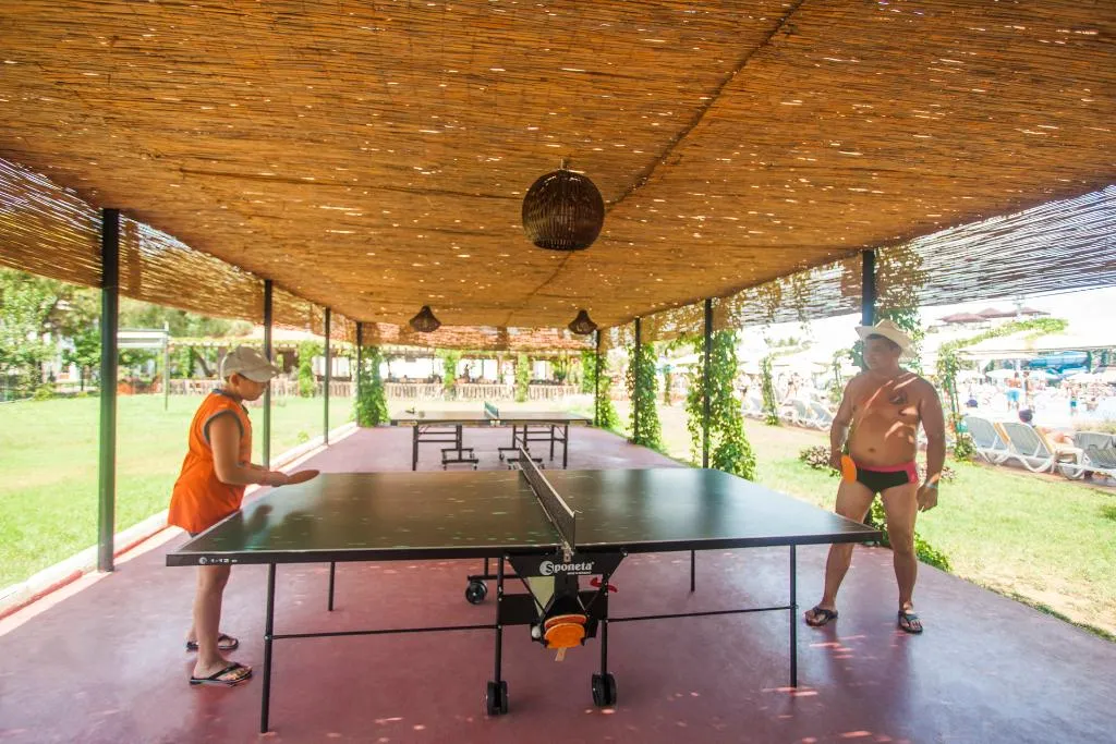 Sports and Entertainment, Club Hotel Turan Prince World, Antalya