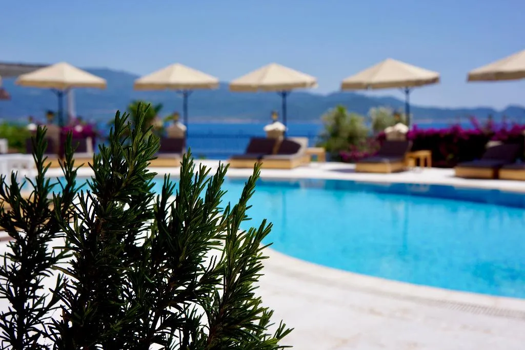 Bar, Tamara Prive Adult Only+12, Dalaman