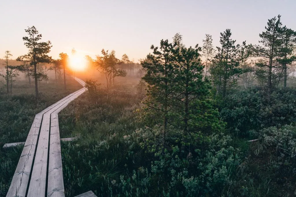 Beach, Jurmala Spa & Conference Centre, Riga