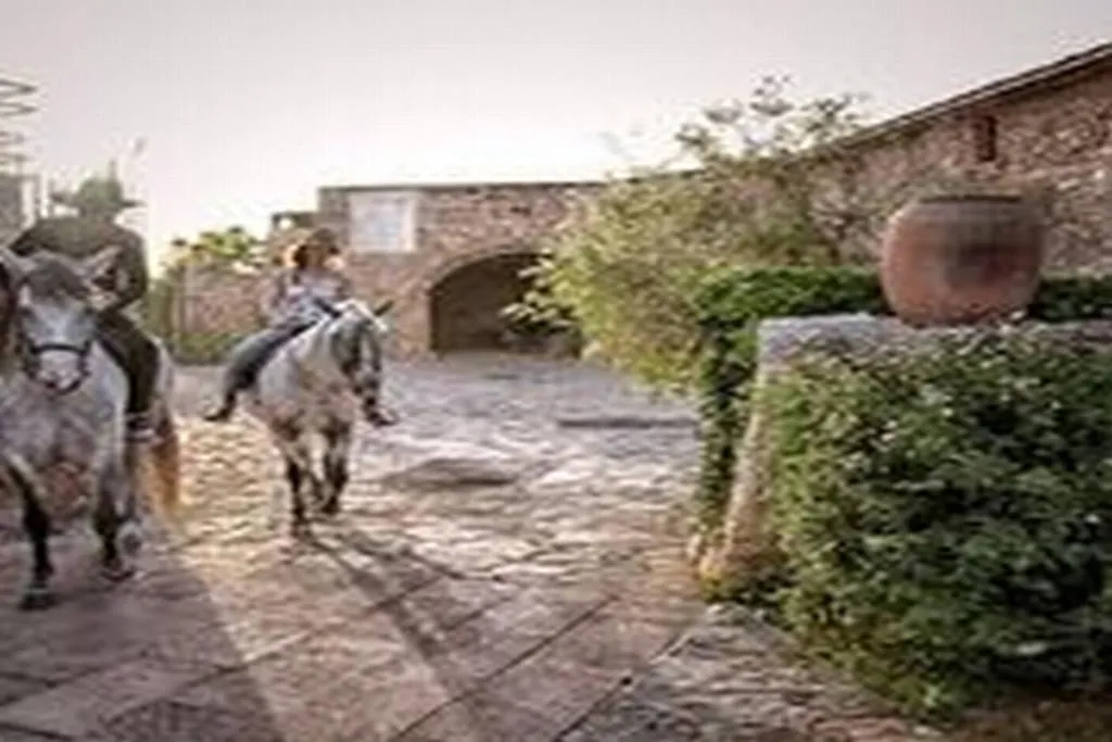 Sports and Entertainment, Sa Bassa Rotja Ecoturisme, Majorca