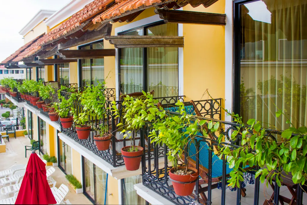 Terrace, Caribbean Paradise Boutique Hotel, Playa Del Carmen