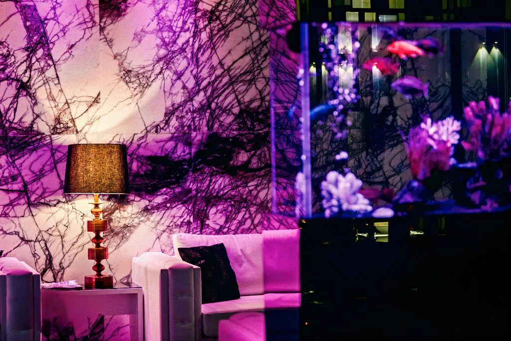 Lobby, The Ciao Stelio Deluxe Hotel, Cyprus