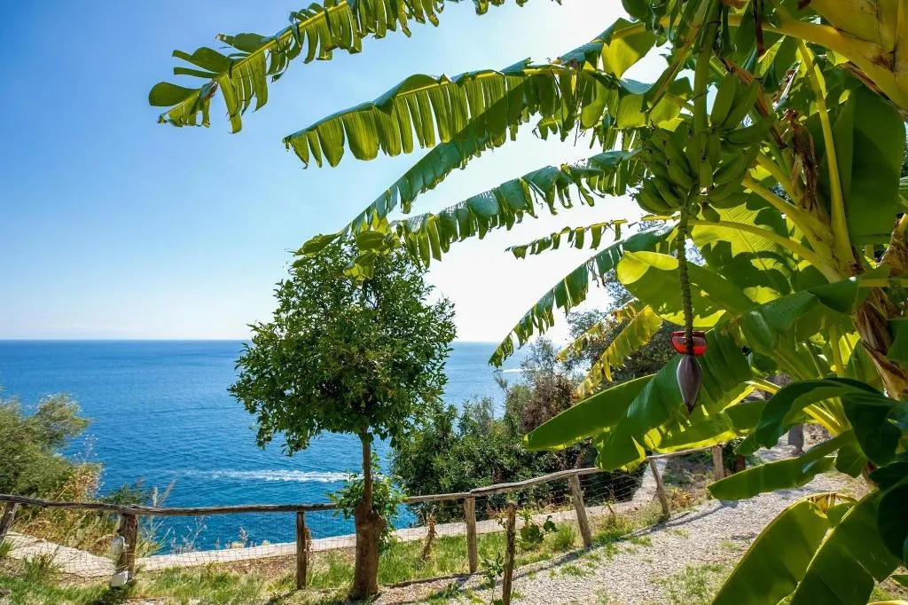 General view, Villa Santa Maria - Luxury Country House, Naples