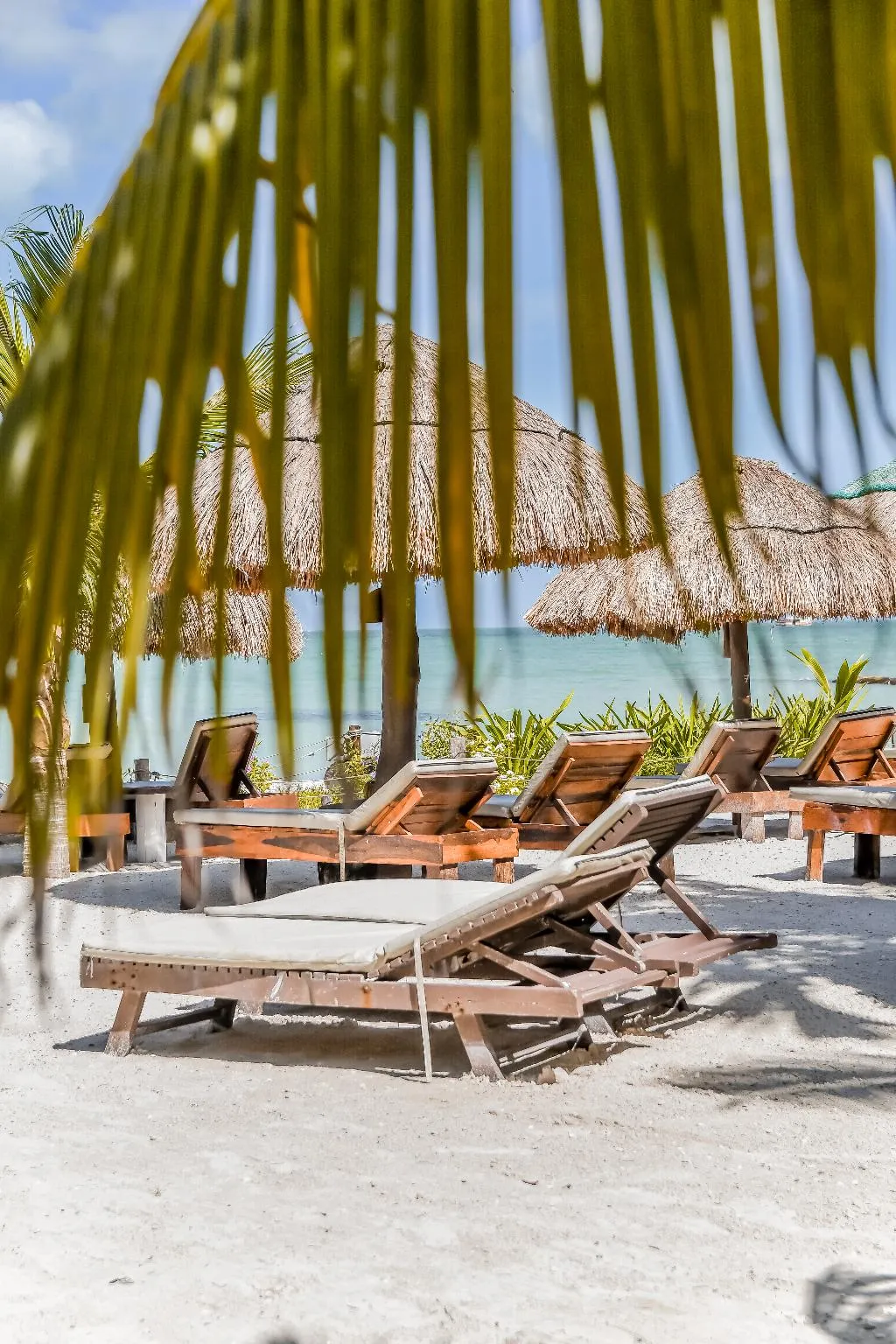 Beach, Zomay Beachfront Holbox, Cancun Area
