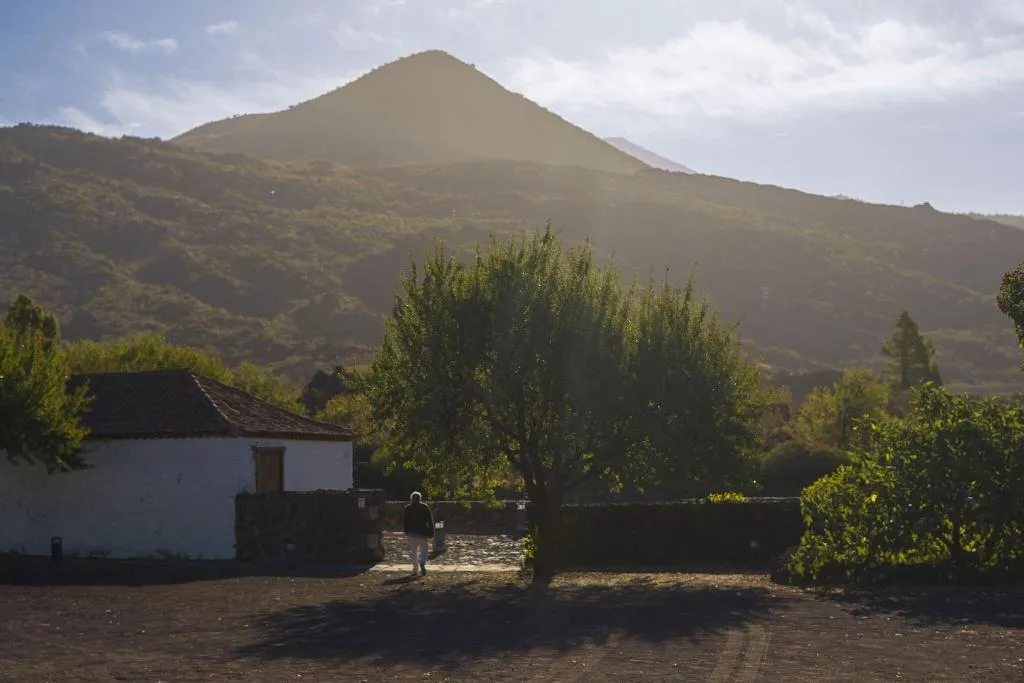 General view, La Casona Del Patio, Tenerife