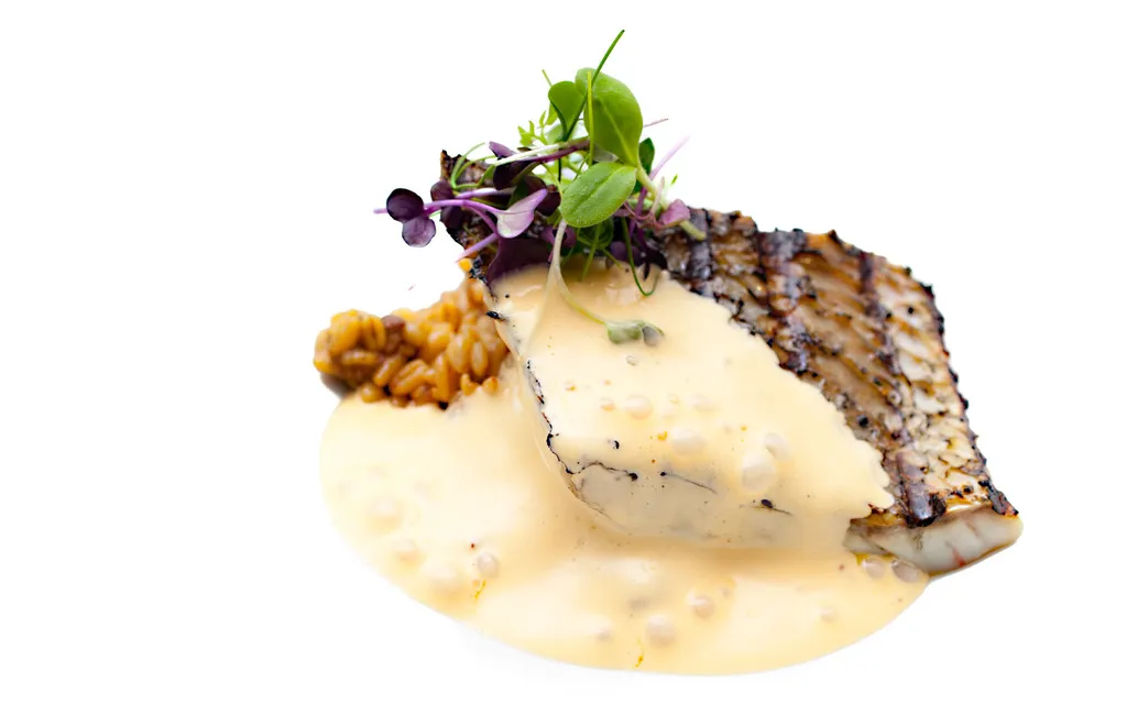 Restaurant, Alga, Costa Brava