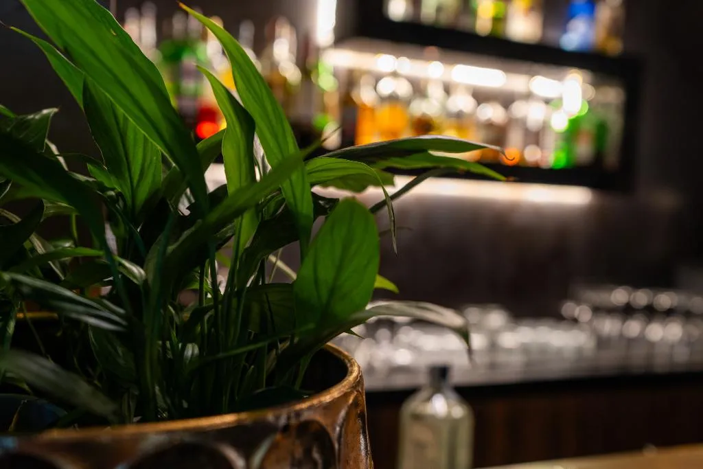 Bar, Divina Luxury Hotel, Rome