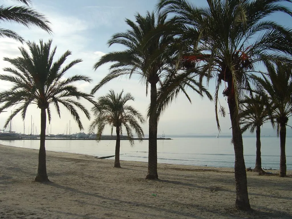 Beach, Hispania, Majorca