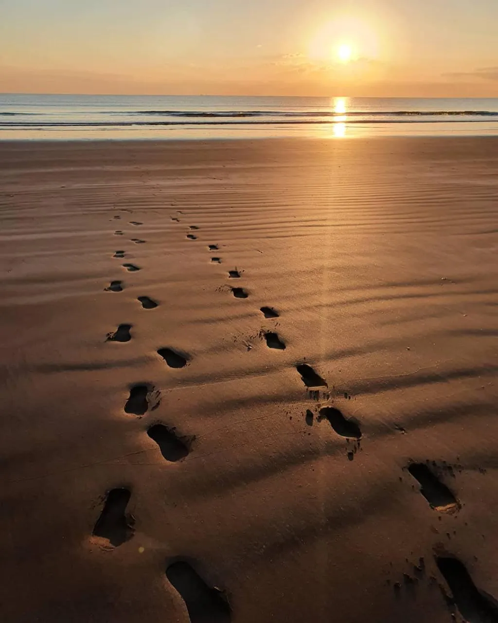Beach, Mysk Kingfisher Retreat, Dubai