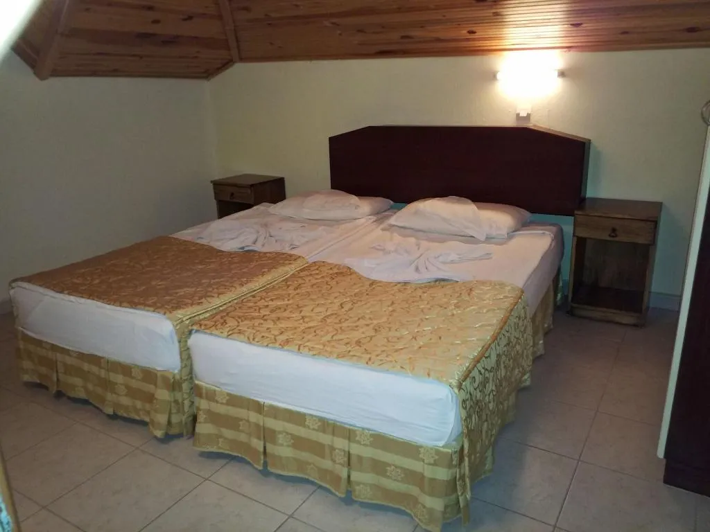 Room, Kamelya, Dalaman