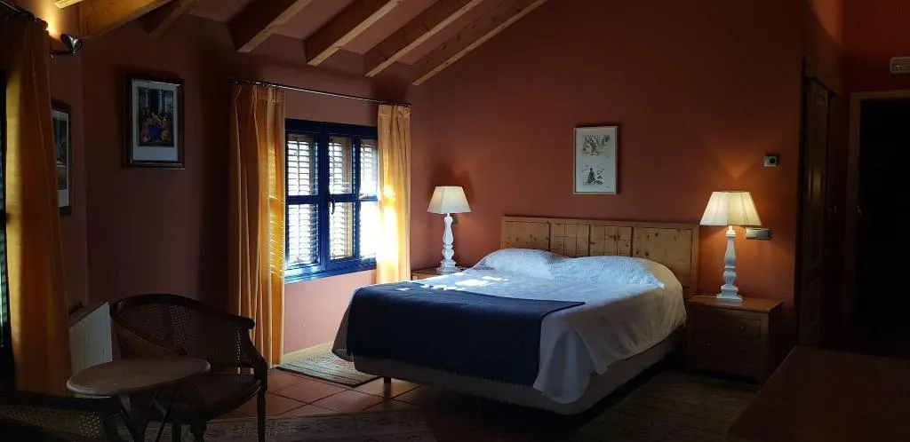 Room, Hotel Sara De Ur, Madrid