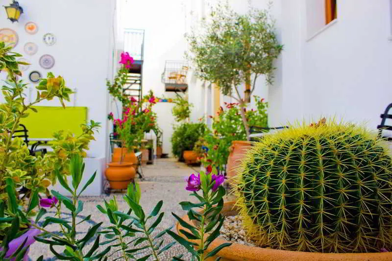 Terrace, Filoxenia Cozy, Rhodes
