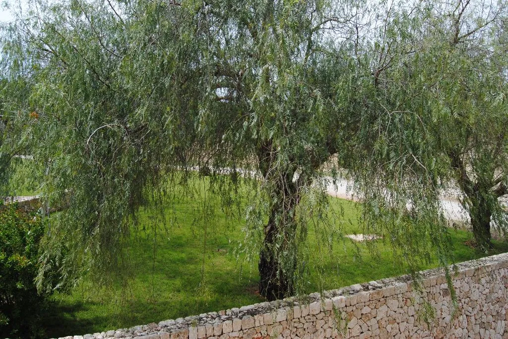 General view, Hotel Rural Es Riquers, Majorca