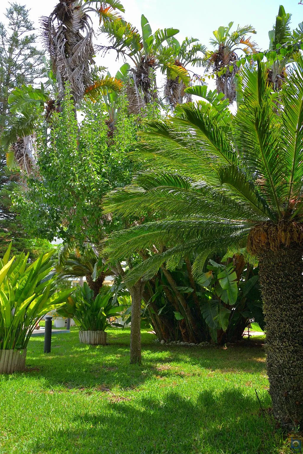 General view, B&B Mondello Resort, Palermo