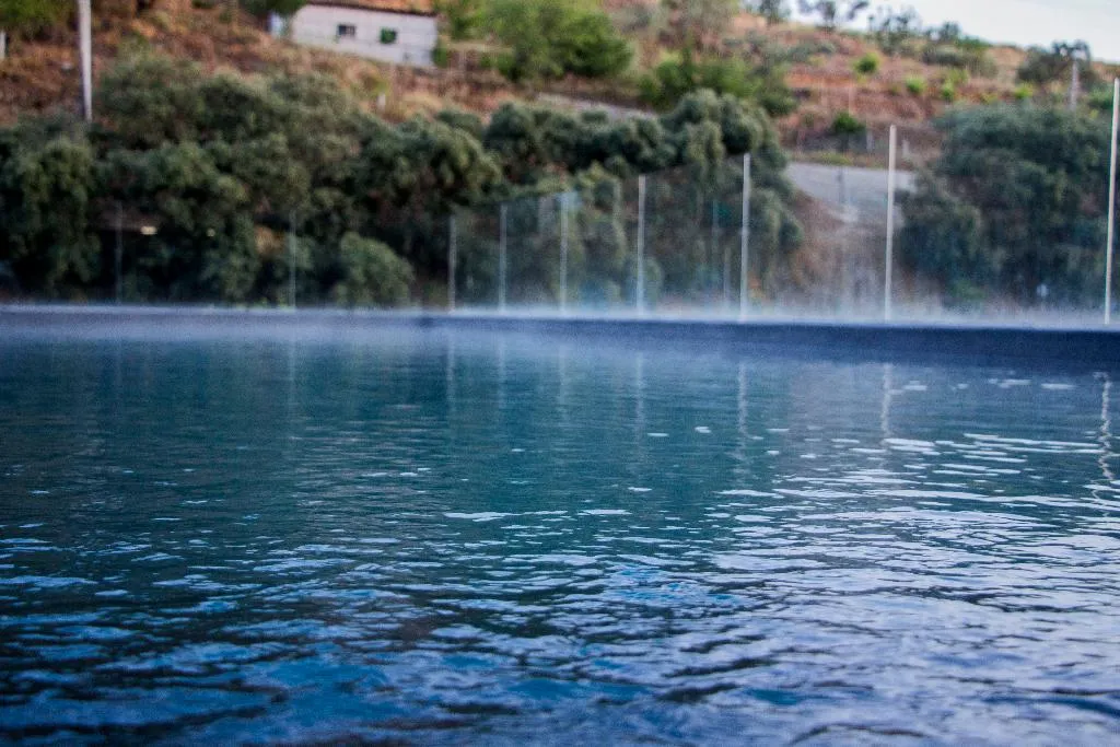 Pool, Longroiva Hotel Rural, Porto