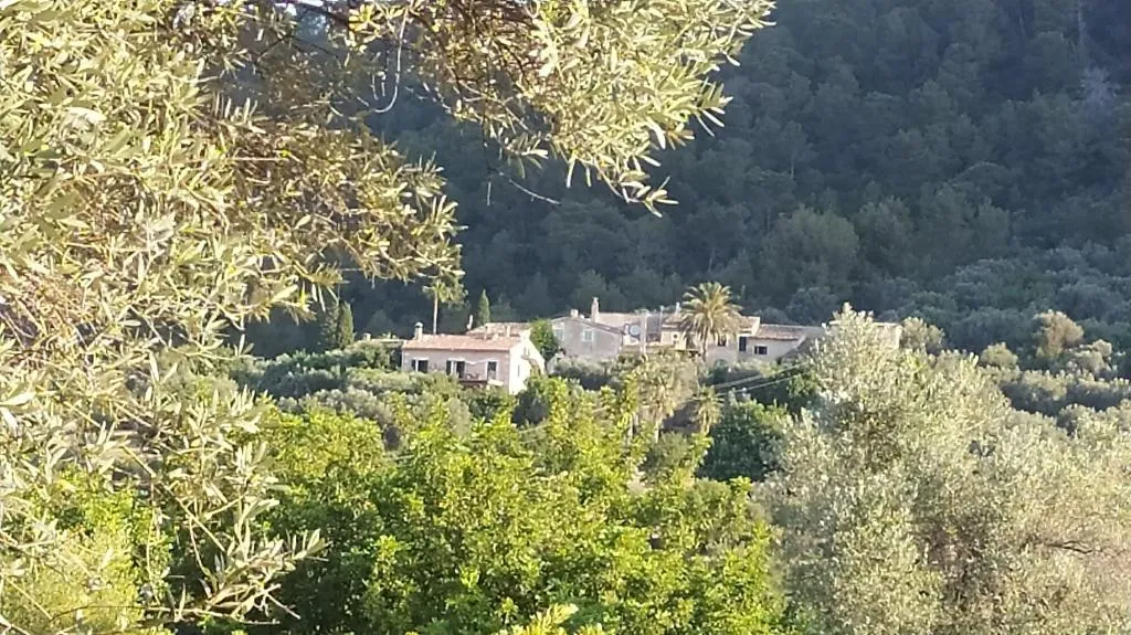 General view, Finca Hotel Es Castell, Majorca