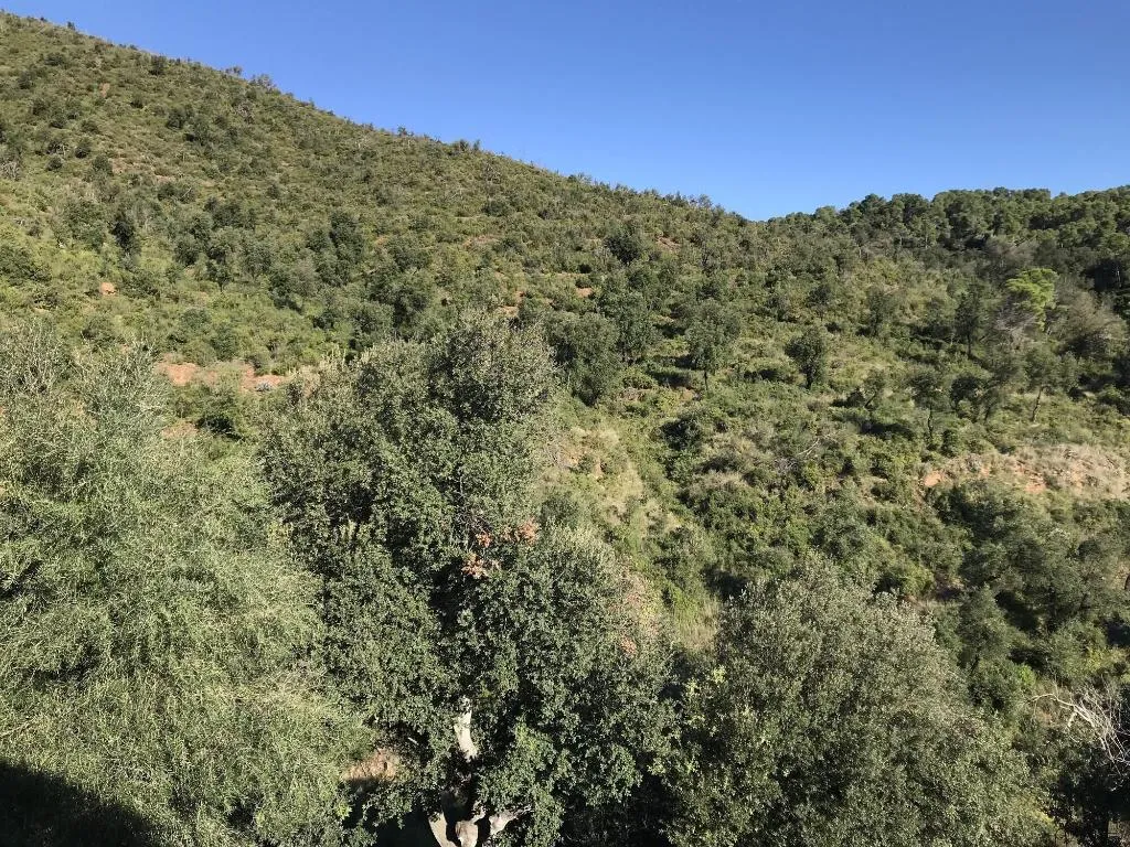 Room, Finca Bell-Lloc, Costa Brava