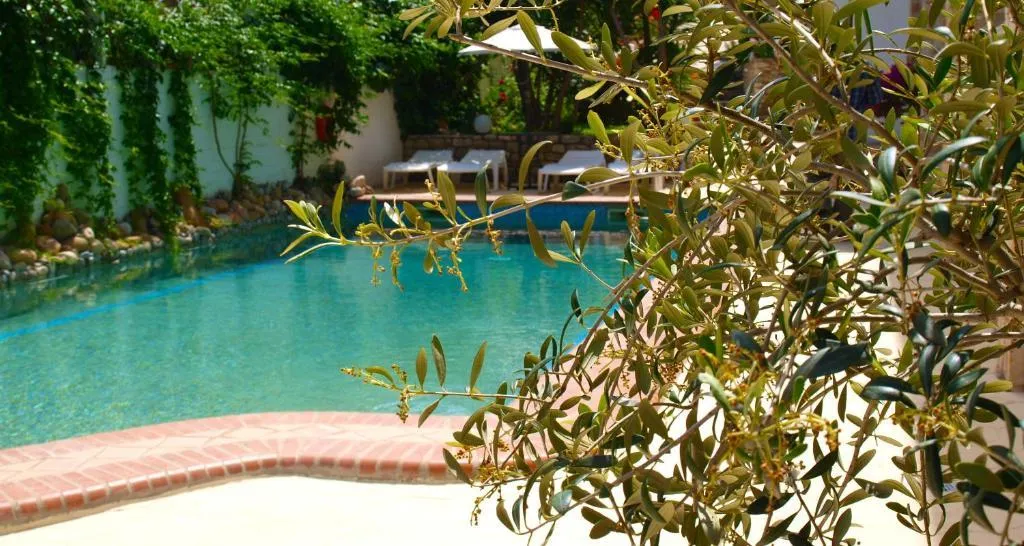 General view, Pighi Hotel Kriopigi, Halkidiki