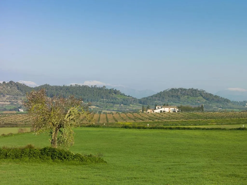 General view, Agroturisme Gossalba, Majorca