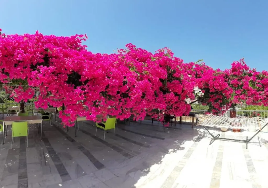 General view, Akdeniz Pansiyon, Dalaman