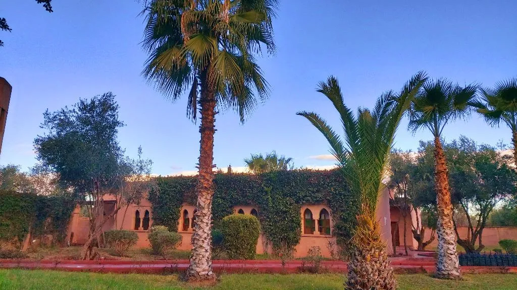 General view, Riad La Maison des Oliviers, Marrakech