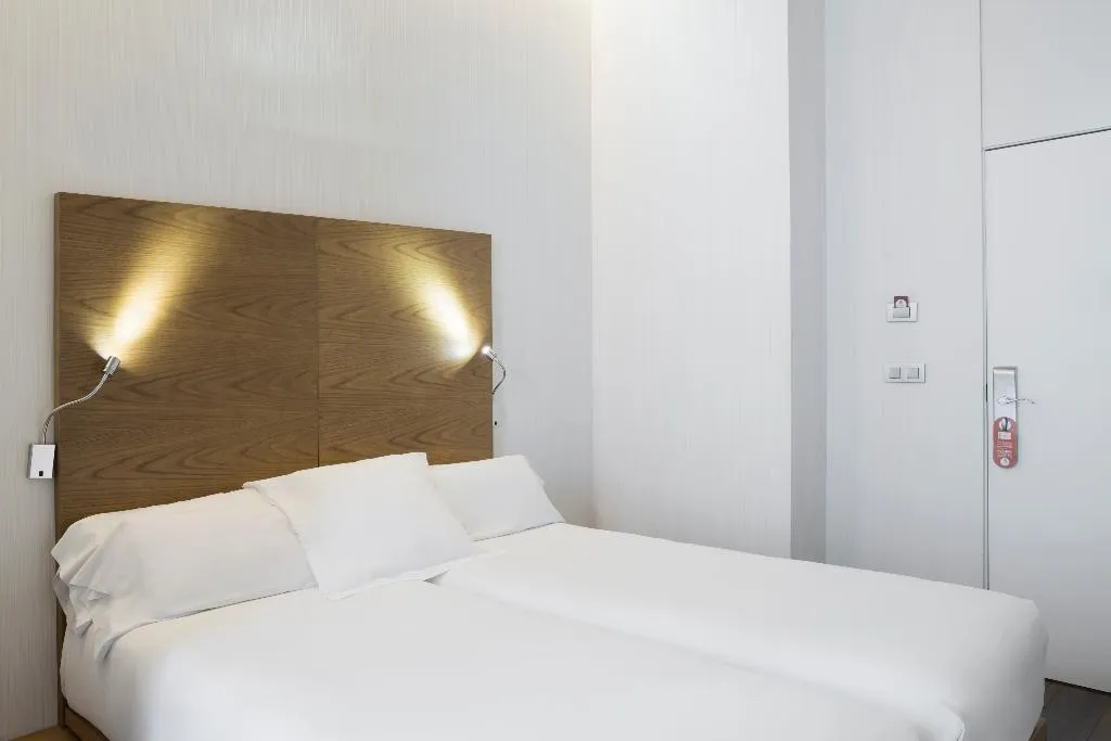 DOUBLE SINGLE USE STANDARD Room, Petit Palace Plaza Malaga, Costa Del Sol
