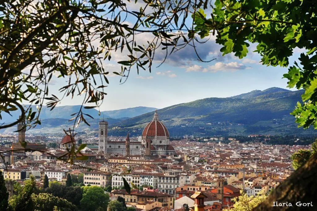 General view, HHB Hotel, Florence