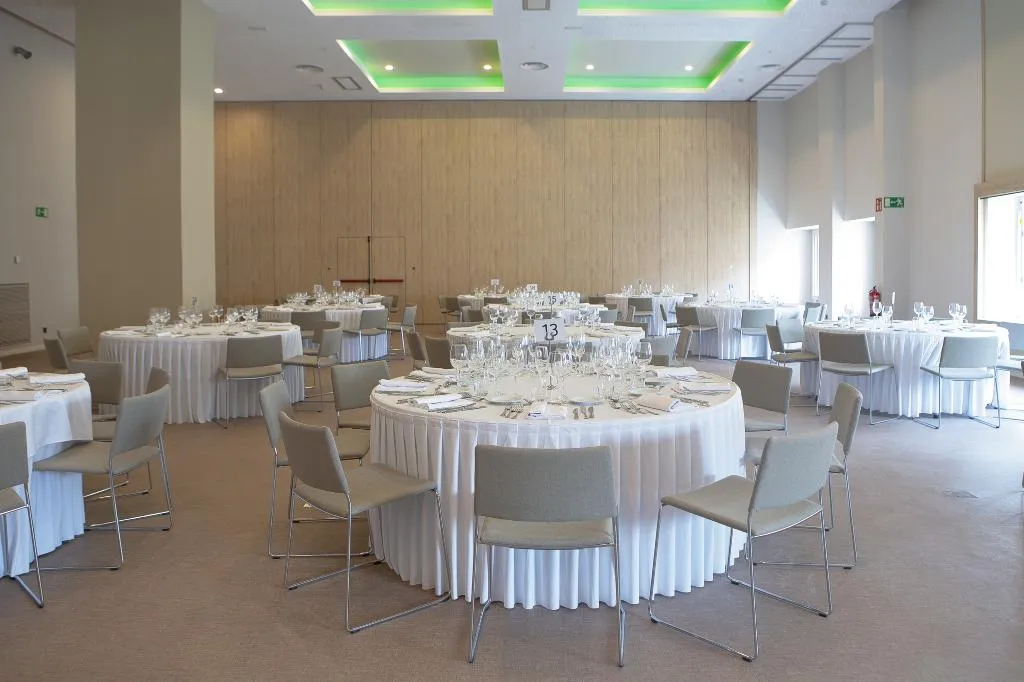 Conferences, Hotel Riu Plaza España, Madrid