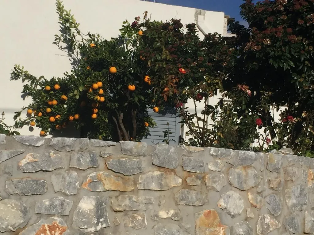 General view, Aravanes Mountain Resort & Eco Cuisine, Crete