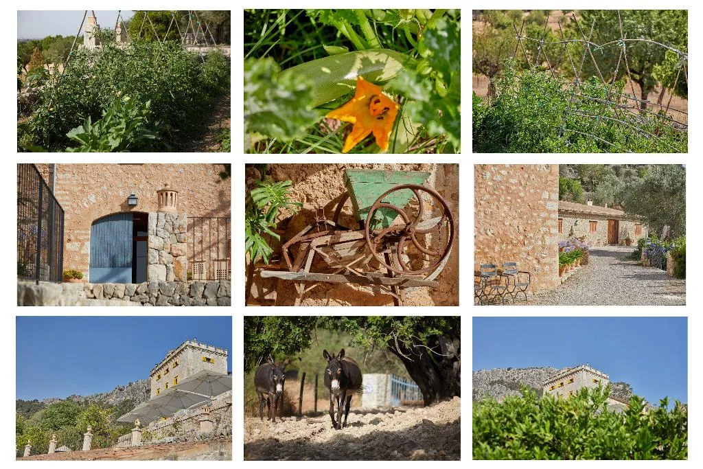 General view, Agroturismo Alquería Blanca, Majorca