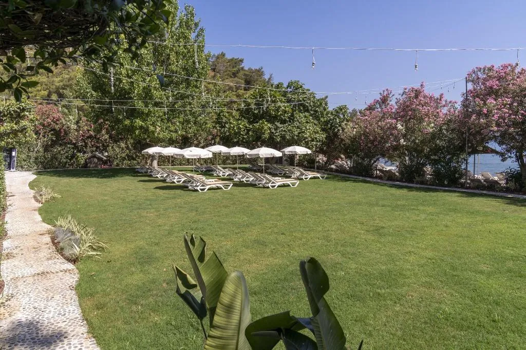 Beach, Alesta Midtown, Dalaman
