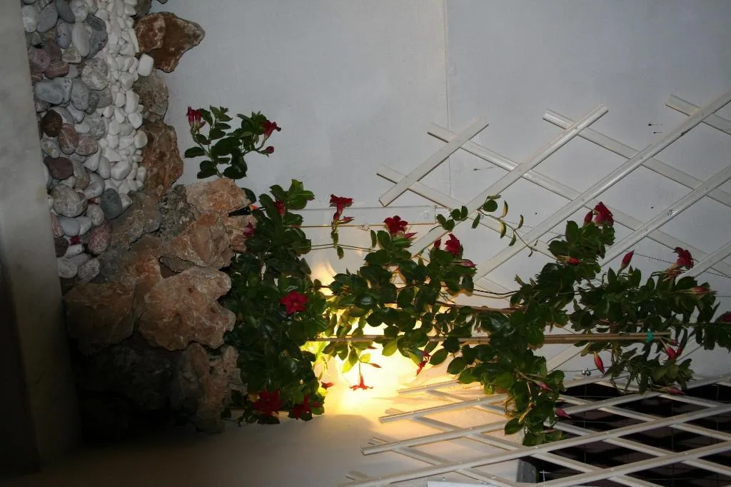 General view, Pantheon Deluxe Apartments, Rhodes