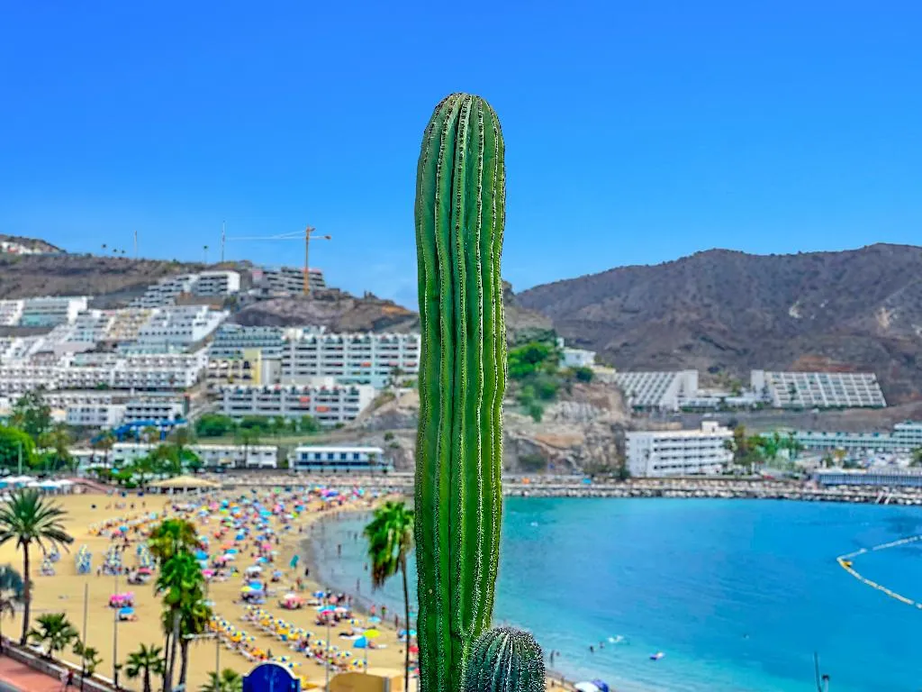 Beach, Punta del Rey, Gran Canaria