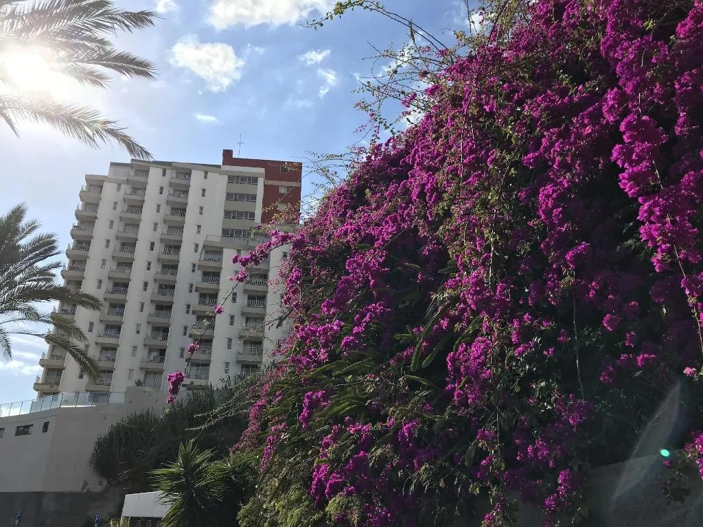 General view, Apartamentos Do Mar, Madeira