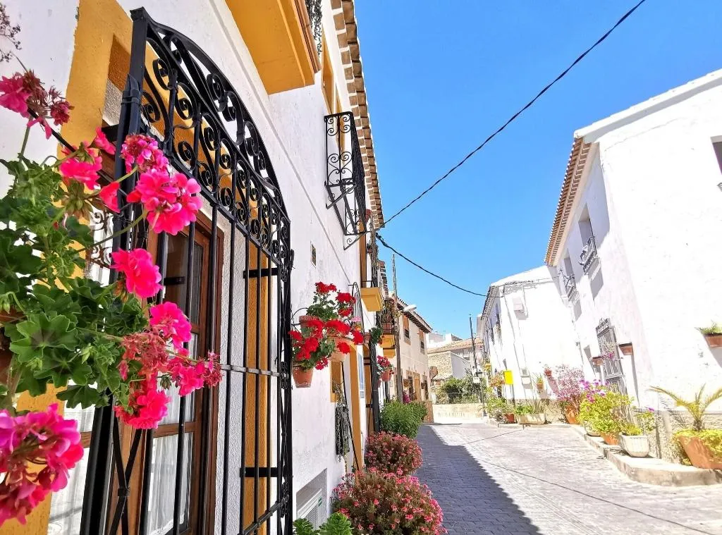 General view, Casona Granado, Andalucia