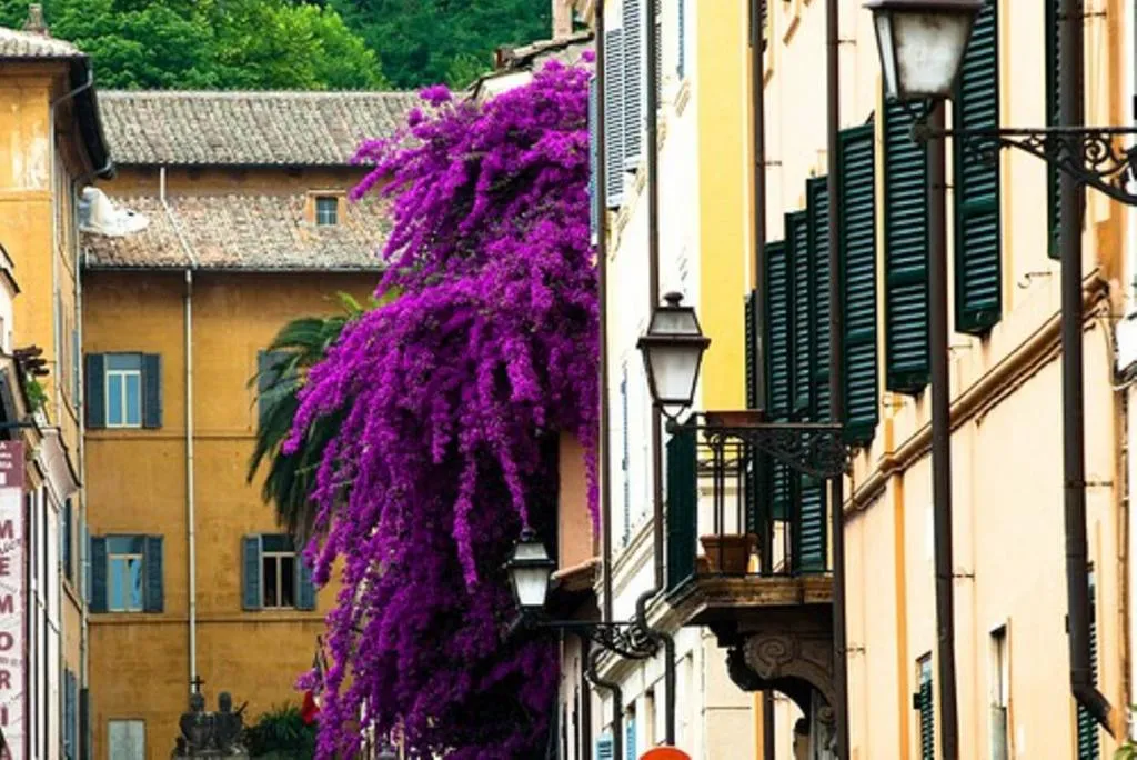 General view, Guest House Ventisei Scalini A Trastevere, Rome