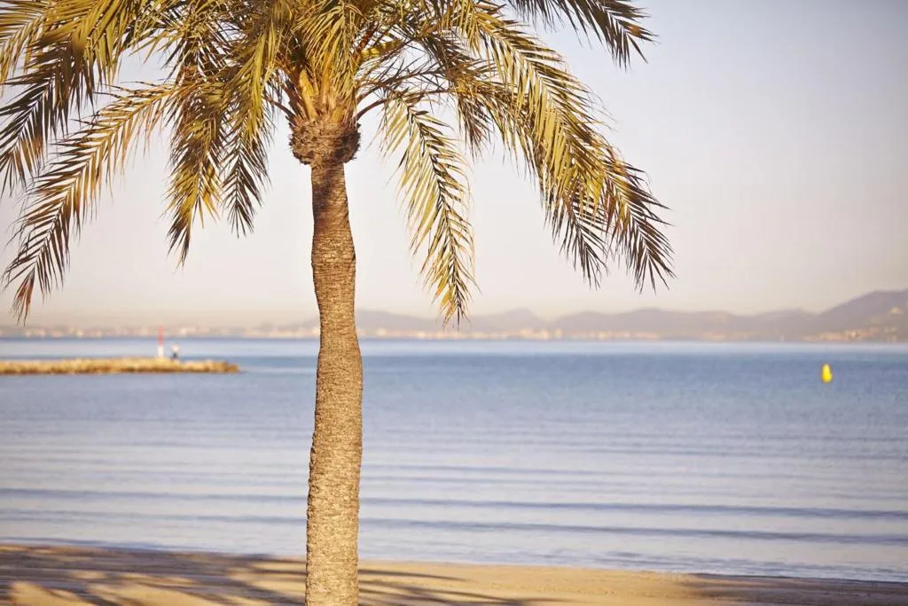 Beach, Mediterranean bay, Majorca