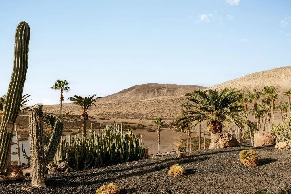 General view, Paradisus by Melia Fuerteventura, Fuerteventura